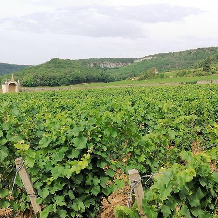 Curtil-Vergy Gite Hautes Cotes De Nuits מראה חיצוני תמונה