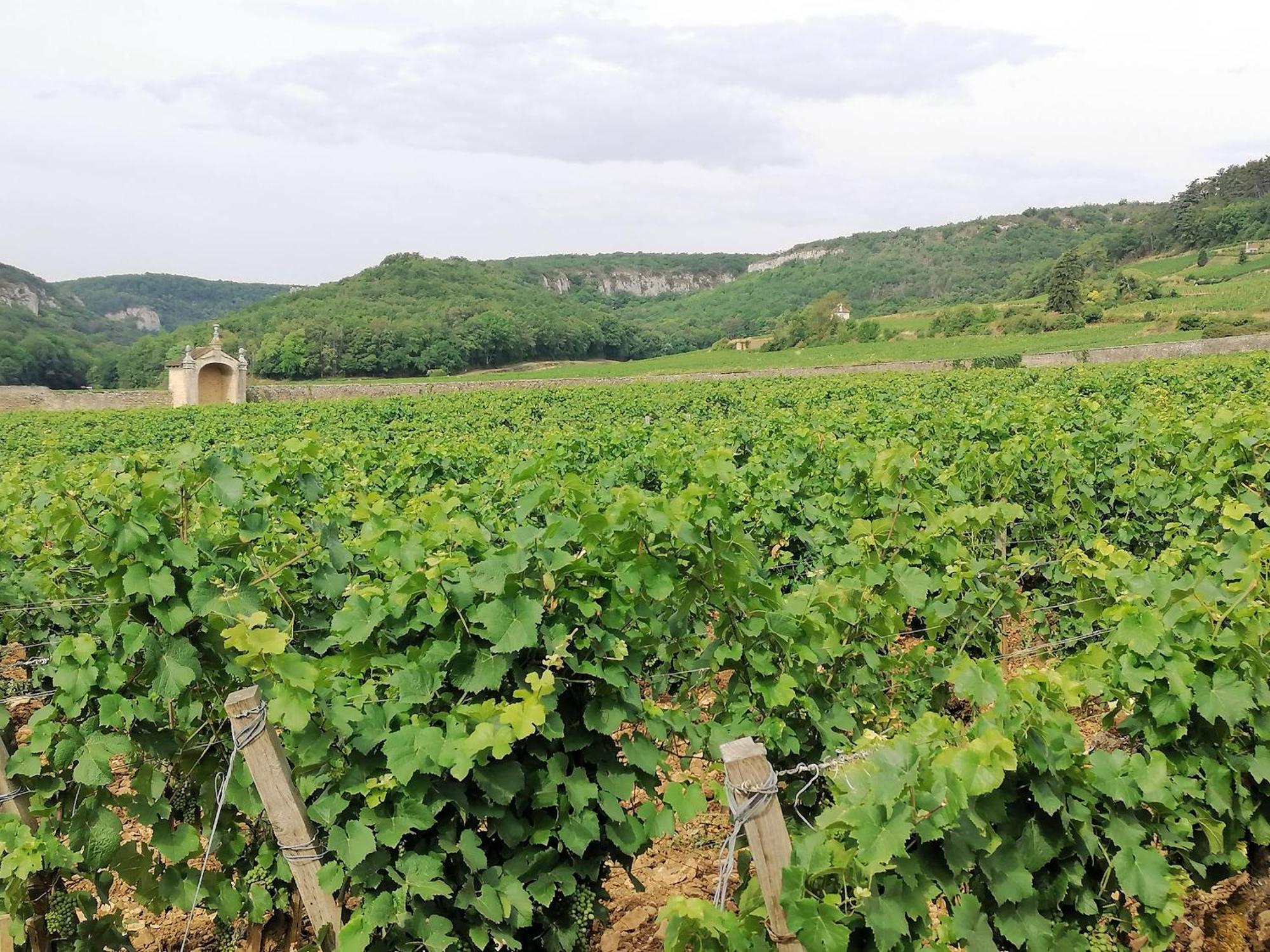 Curtil-Vergy Gite Hautes Cotes De Nuits מראה חיצוני תמונה